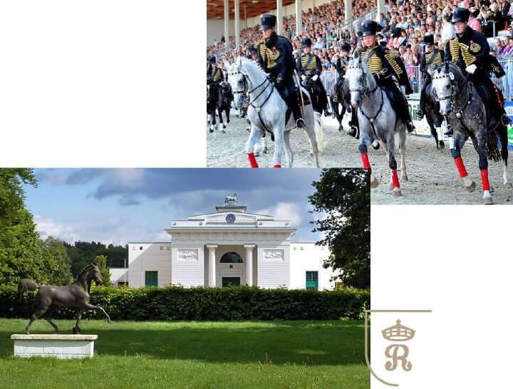 landgestuet marbach derby community teaserbild landgestuet marbach derby community teaserbild
